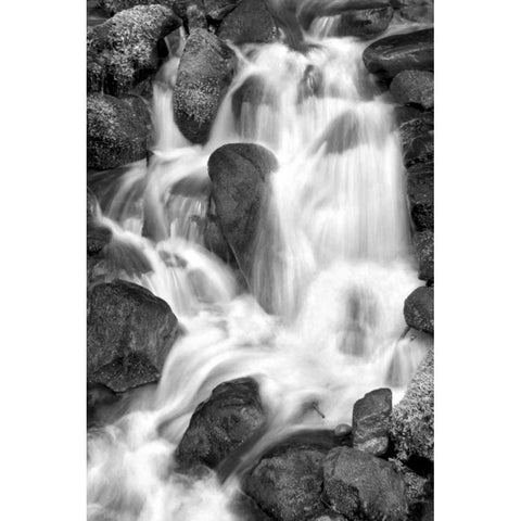 Trailside Waterfall IV BW Black Modern Wood Framed Art Print with Double Matting by Taylor, Douglas