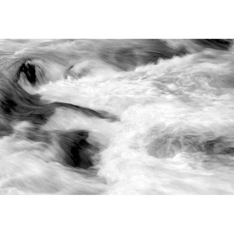 Hamma Hamma Current II BW Gold Ornate Wood Framed Art Print with Double Matting by Taylor, Douglas