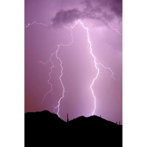 Summer Lightning White Modern Wood Framed Art Print by Taylor, Douglas