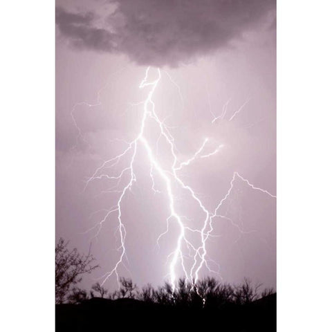 Dancing Lightning White Modern Wood Framed Art Print by Taylor, Douglas