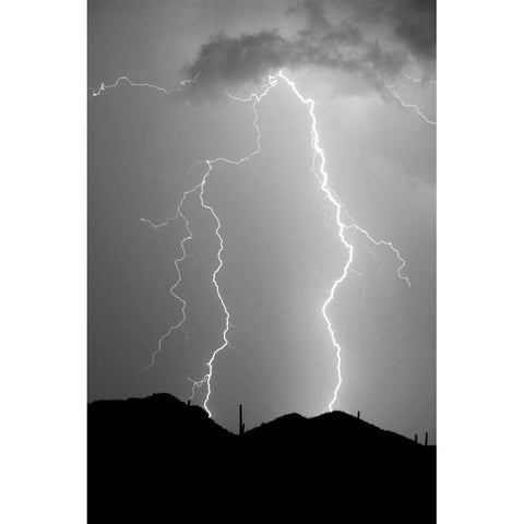 Summer Lightning BW Black Modern Wood Framed Art Print with Double Matting by Taylor, Douglas