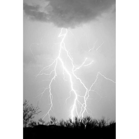 Dancing Lightning BW White Modern Wood Framed Art Print by Taylor, Douglas