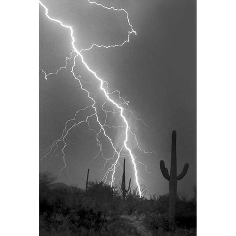 Fire and Rain BW Black Modern Wood Framed Art Print with Double Matting by Taylor, Douglas