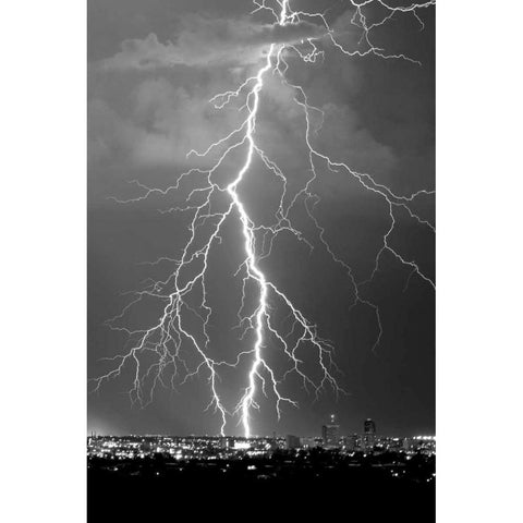 Lightning Portrait BW White Modern Wood Framed Art Print by Taylor, Douglas