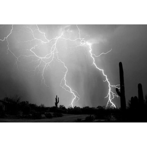 Electrifying BW White Modern Wood Framed Art Print by Taylor, Douglas