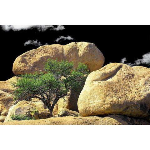 Texas Canyon Rox and Rolls Black Modern Wood Framed Art Print by Taylor, Douglas