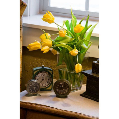 Yellow Tulips I Black Modern Wood Framed Art Print with Double Matting by Clayton-Thompson, Philip