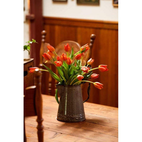 Fresh Tulips I Black Modern Wood Framed Art Print with Double Matting by Clayton-Thompson, Philip