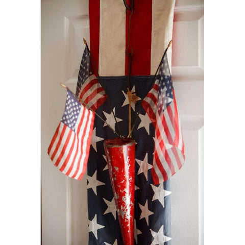 Patriotic II Black Modern Wood Framed Art Print by Clayton-Thompson, Philip