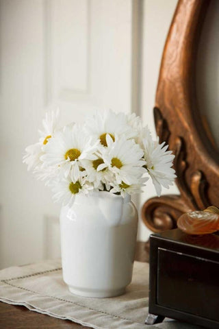 Daisy Bouquet II White Modern Wood Framed Art Print with Double Matting by Clayton-Thompson, Philip