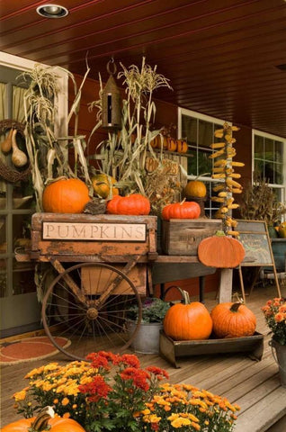 Autumn Harvest I Black Ornate Wood Framed Art Print with Double Matting by Clayton-Thompson, Philip