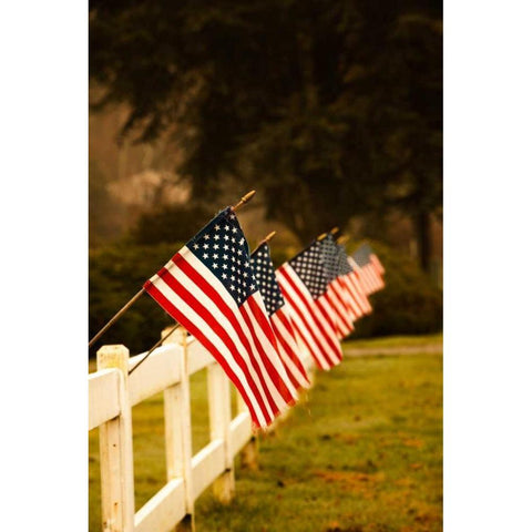 Flags II Black Modern Wood Framed Art Print with Double Matting by Clayton-Thompson, Philip