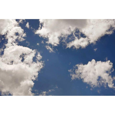 Clouds I Black Modern Wood Framed Art Print by Clayton-Thompson, Philip