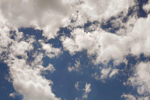 Clouds II Black Ornate Wood Framed Art Print with Double Matting by Clayton-Thompson, Philip