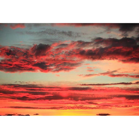 Colorful Sunset II White Modern Wood Framed Art Print by Clayton-Thompson, Philip