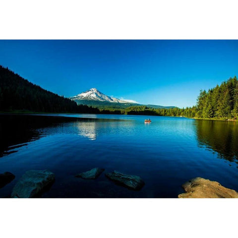 Trillium Lake I Black Modern Wood Framed Art Print with Double Matting by Clayton-Thompson, Philip