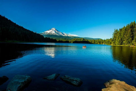 Trillium Lake I White Modern Wood Framed Art Print with Double Matting by Clayton-Thompson, Philip