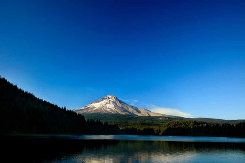 Trillium Lake II White Modern Wood Framed Art Print with Double Matting by Clayton-Thompson, Philip