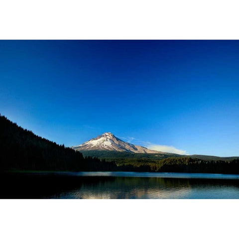 Trillium Lake II Black Modern Wood Framed Art Print with Double Matting by Clayton-Thompson, Philip