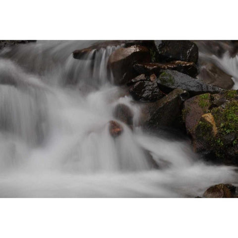 Stream Falls I White Modern Wood Framed Art Print by Thomas, Logan