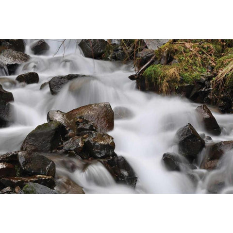 Stream Falls II White Modern Wood Framed Art Print by Thomas, Logan