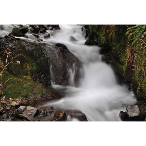 Stream Falls III White Modern Wood Framed Art Print by Thomas, Logan