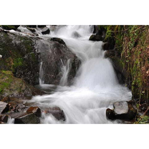 Stream Falls IV White Modern Wood Framed Art Print by Thomas, Logan