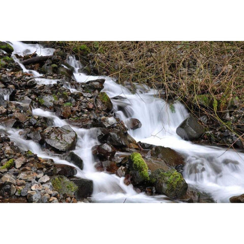 Stream Falls V White Modern Wood Framed Art Print by Thomas, Logan