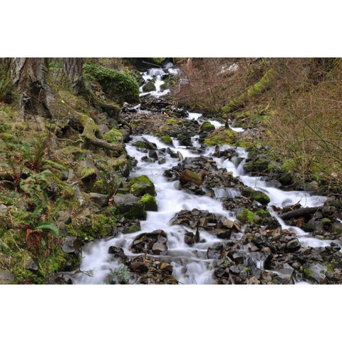 Stream Falls VI White Modern Wood Framed Art Print by Thomas, Logan