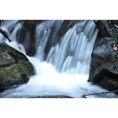 Waterfall II White Modern Wood Framed Art Print by Thomas, Logan