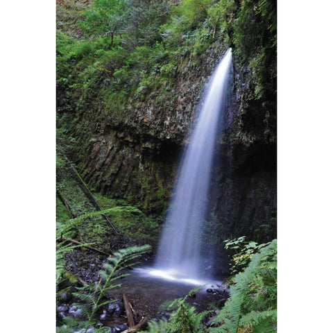 Serene Waterfall White Modern Wood Framed Art Print by Thomas, Logan