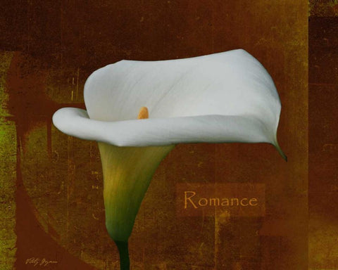 Calla Lily Romance White Modern Wood Framed Art Print with Double Matting by Geyman, Vitaly