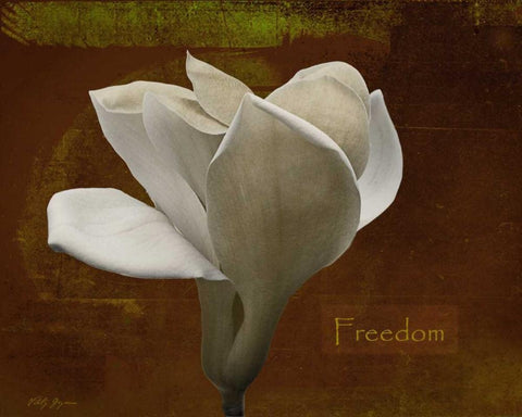 Zen Tulip Freedom White Modern Wood Framed Art Print with Double Matting by Geyman, Vitaly