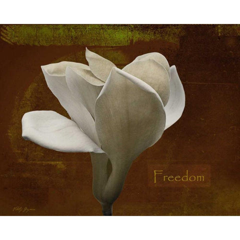 Zen Tulip Freedom Black Modern Wood Framed Art Print with Double Matting by Geyman, Vitaly