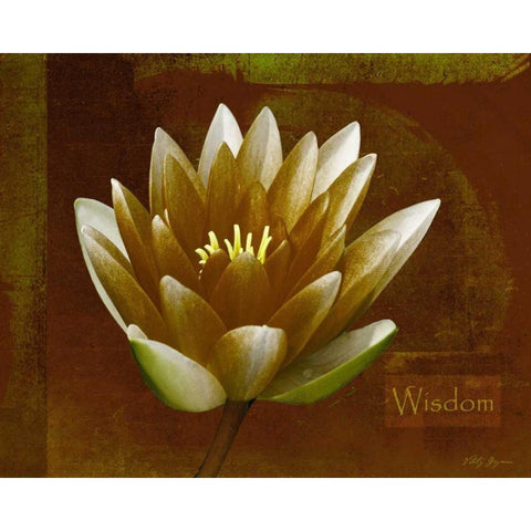 Rustic Lotus Wisdom Black Modern Wood Framed Art Print with Double Matting by Geyman, Vitaly