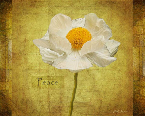 White Poppy Peace Black Ornate Wood Framed Art Print with Double Matting by Geyman, Vitaly