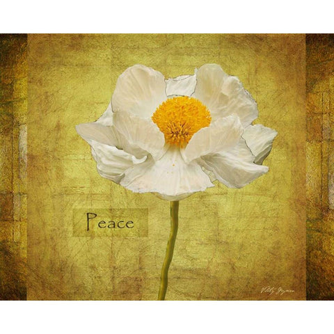 White Poppy Peace Black Modern Wood Framed Art Print with Double Matting by Geyman, Vitaly