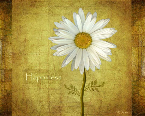 Daisy Happiness White Modern Wood Framed Art Print with Double Matting by Geyman, Vitaly