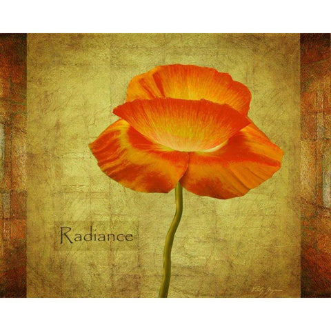 Dancing Poppy Radiance White Modern Wood Framed Art Print by Geyman, Vitaly