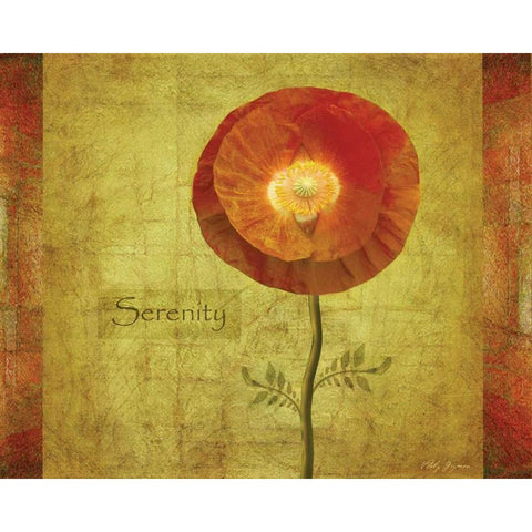 Poppy Serenity Black Modern Wood Framed Art Print with Double Matting by Geyman, Vitaly