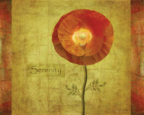 Poppy Serenity White Modern Wood Framed Art Print with Double Matting by Geyman, Vitaly