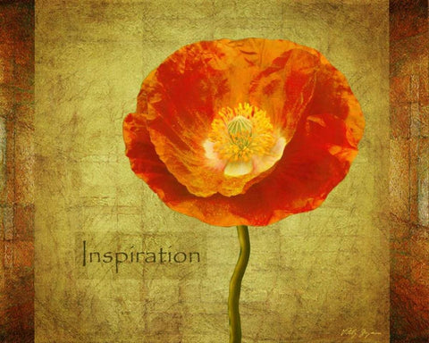 Sun Poppy Inspiration Black Ornate Wood Framed Art Print with Double Matting by Geyman, Vitaly