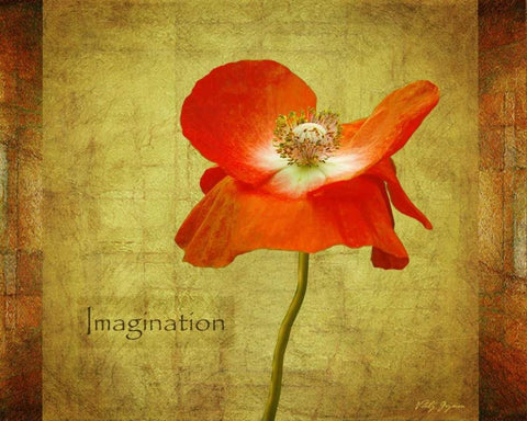 Velvet Poppy Imagination White Modern Wood Framed Art Print with Double Matting by Geyman, Vitaly