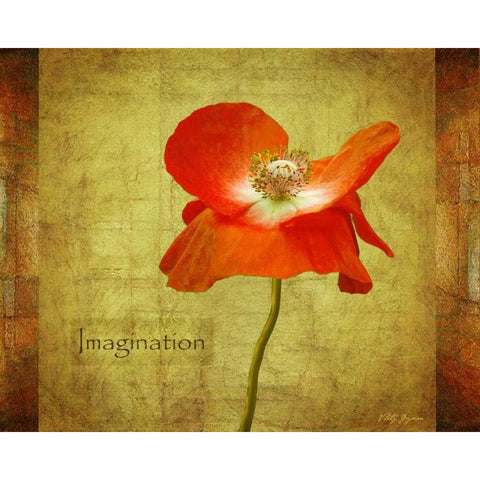 Velvet Poppy Imagination Gold Ornate Wood Framed Art Print with Double Matting by Geyman, Vitaly