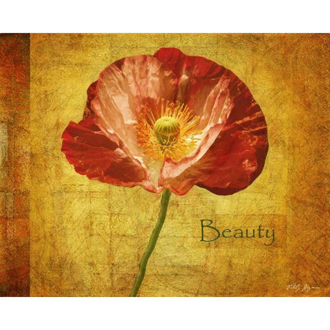 Royal Poppy Beauty Black Modern Wood Framed Art Print with Double Matting by Geyman, Vitaly