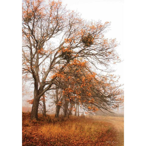 Autumn Lane White Modern Wood Framed Art Print by Geyman, Vitaly