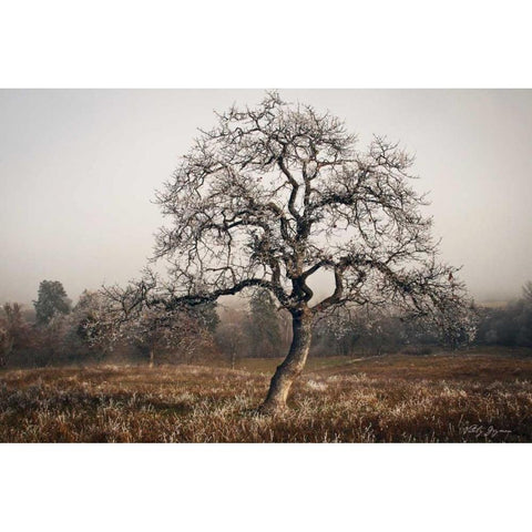 Frosty Tree Black Modern Wood Framed Art Print by Geyman, Vitaly