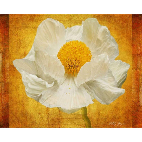 Poppy in Gold Gold Ornate Wood Framed Art Print with Double Matting by Geyman, Vitaly