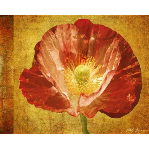 Sun Poppy II Gold Ornate Wood Framed Art Print with Double Matting by Geyman, Vitaly