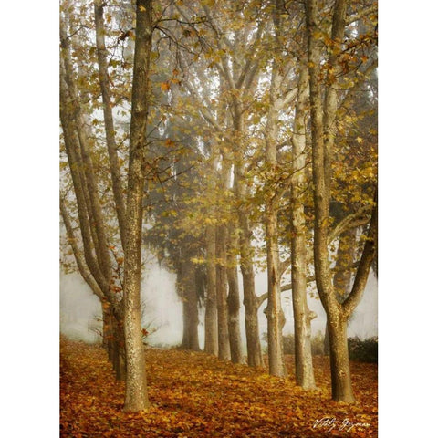 Tree Parade White Modern Wood Framed Art Print by Geyman, Vitaly